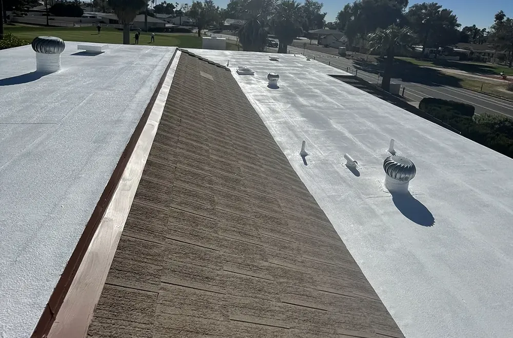Roof Coating 1